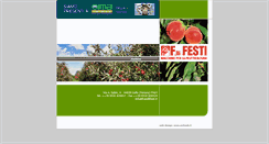 Desktop Screenshot of fratellifesti.it