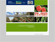 Tablet Screenshot of fratellifesti.it